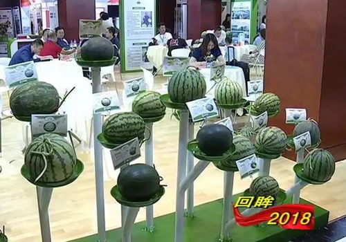 系列報(bào)道之三 堅(jiān)持強(qiáng)農(nóng)惠農(nóng) 鄉(xiāng)村振興邁出堅(jiān)實(shí)步伐