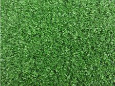 郴州市蘇仙區(qū)湘綠草皮苗木基地產品展示