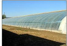 生態(tài) 農(nóng)業(yè) 工程建設(shè)的公司請選擇青州市憶美園林溫室,生態(tài) 農(nóng)業(yè) 工程建設(shè)的公司請選擇青州市憶美園林溫室生產(chǎn)廠家,生態(tài) 農(nóng)業(yè) 工程建設(shè)的公司請選擇青州市憶美園林溫室價(jià)格